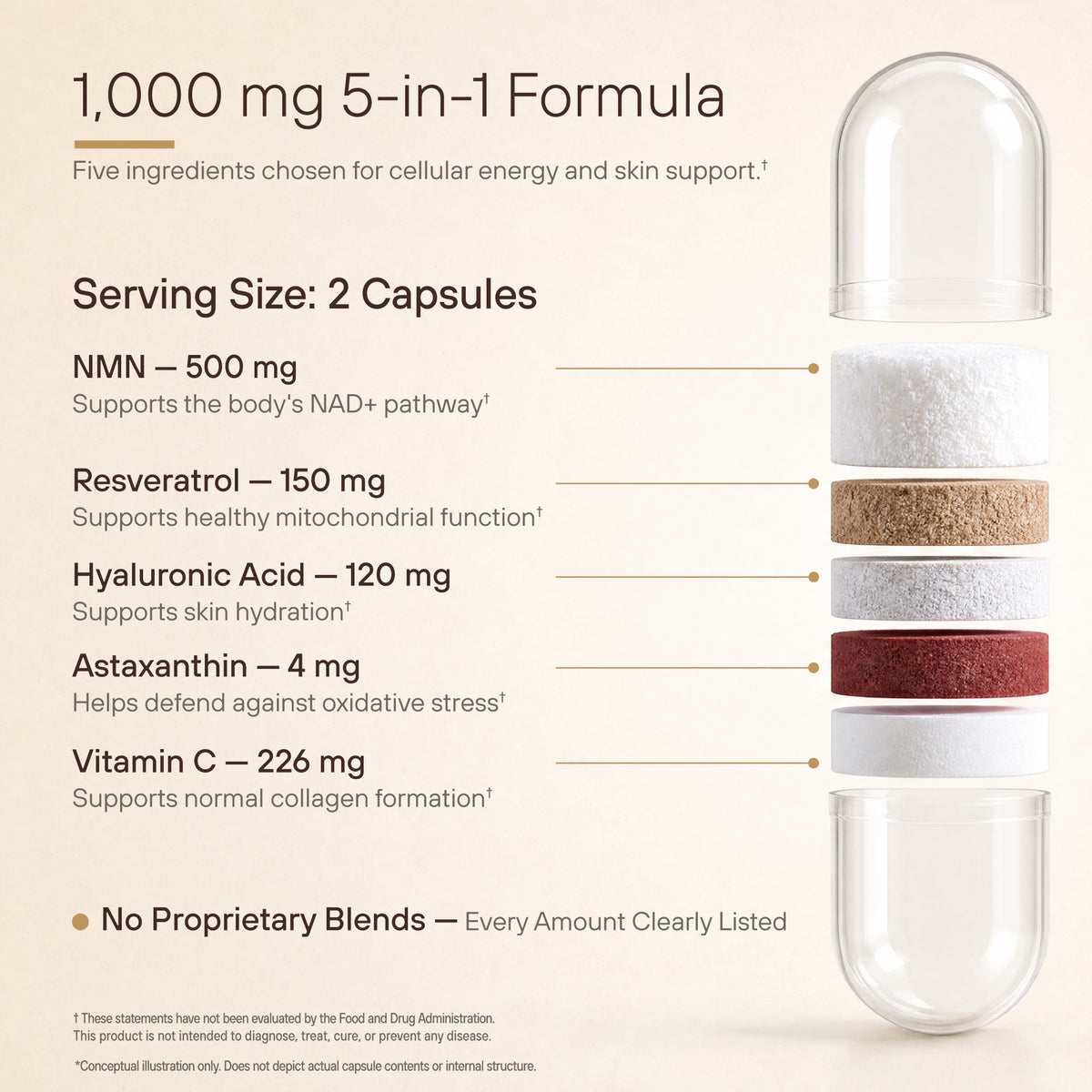 NMN Supplement for Women & Men | 5-in-1 NAD+ Skin Support | NAD Resveratrol - 1000mg Complex with NMN 500mg, Resveratrol, Astaxanthin, Hyaluronic Acid & Vitamin C | Cellular Energy | 60 Capsules